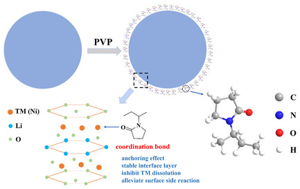 Coordination Anchoring Effect Promoting the Interfacial Stability and Electrochemical Performance of LiNi0.8Co0.1Mn0.1O2 Cathode Material for Lithium-Ion Batteries