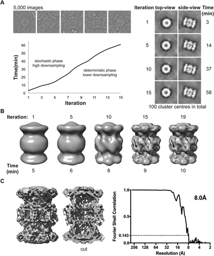 Details are in the caption following the image Details are in the caption following the image