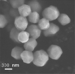Gold Nanoparticle Synthesis, Morphology Control, and Stabilization Facilitated by Functional Polymers