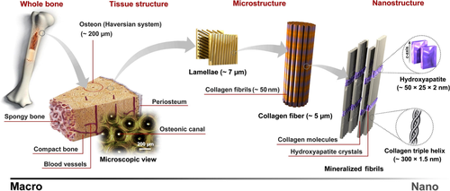 Details are in the caption following the image