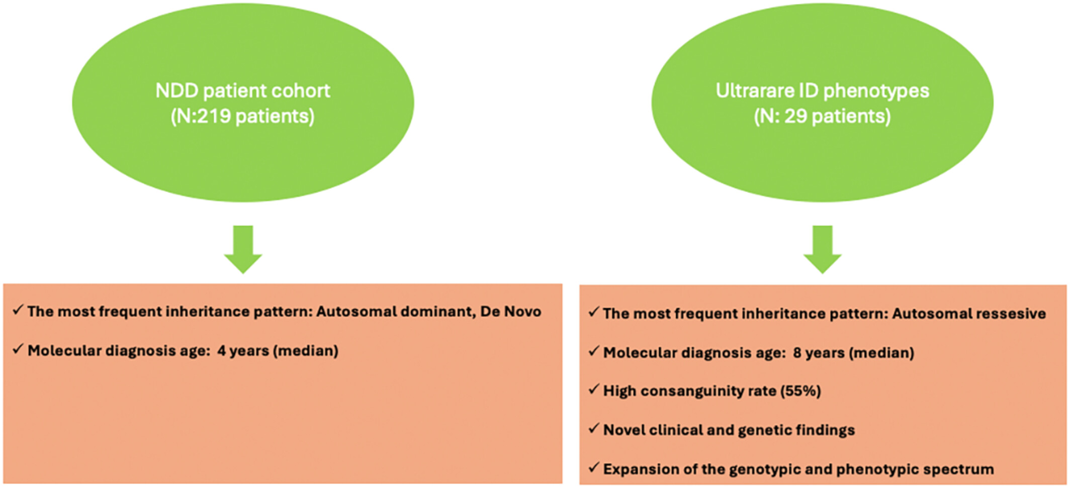 Unveiling New Clinical and Genetic Insights in Ultra-Rare Intellectual Disability Phenotypes: A Study of a Turkish Cohort