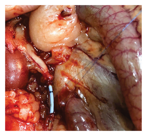 Details are in the caption following the image Details are in the caption following the image