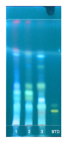 Details are in the caption following the image
