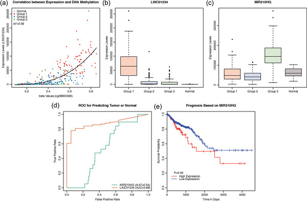 Identification of LINC01234 and MIR210HG as novel prognostic signature for colorectal adenocarcinoma