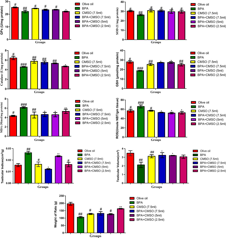 Cucumeropsis mannii seed oil protects against Bisphenol A-induced testicular mitochondrial damages