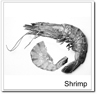 inline image