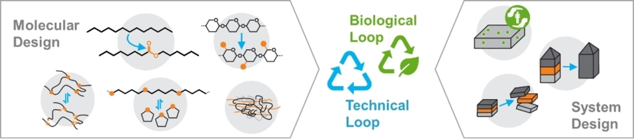 Sustainable Design of Structural and Functional Polymers for a Circular Economy