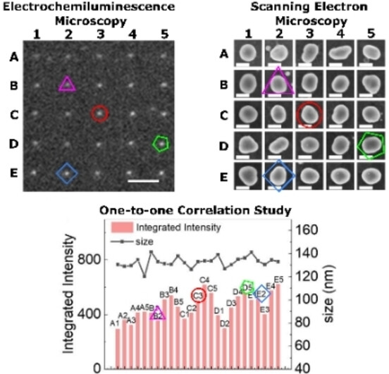 Towards Electrochemiluminescence Microscopy Exploration of Plasmonic-Mediated Phenomena at the Single-Nanoparticle Level