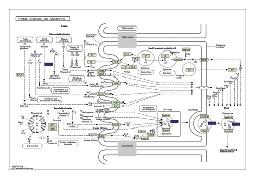 Details are in the caption following the image Details are in the caption following the image