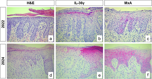 Details are in the caption following the image Details are in the caption following the image