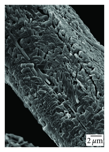 Details are in the caption following the image