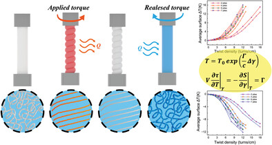 Twistocaloric Modeling of Elastomer Fibers and Experimental Validation