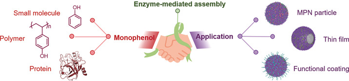 Expanding the Toolbox of Metal–Phenolic Networks via Enzyme-Mediated Assembly