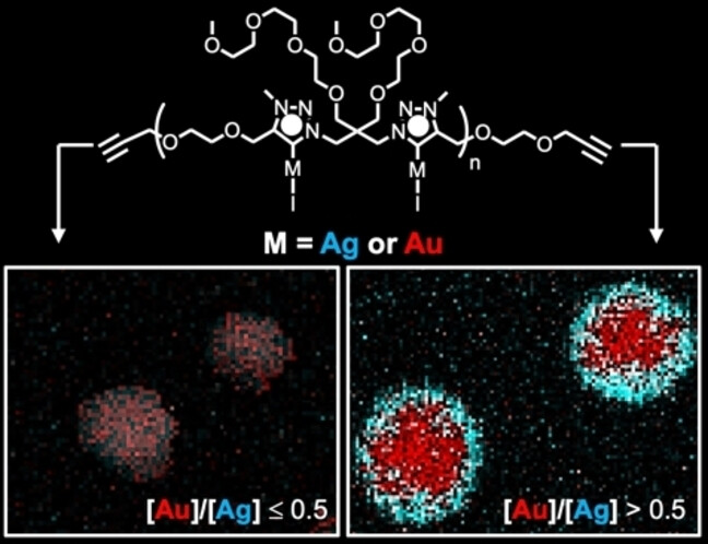 Poly(N-Heterocyclic Carbene)-Capped Alloy and Core-Shell AuAg Bimetallic Nanoparticles