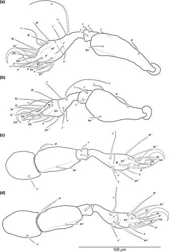Details are in the caption following the image Details are in the caption following the image