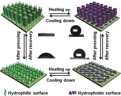 A Smart Superwetting Surface with Responsivity in Both Surface Chemistry and Microstructure