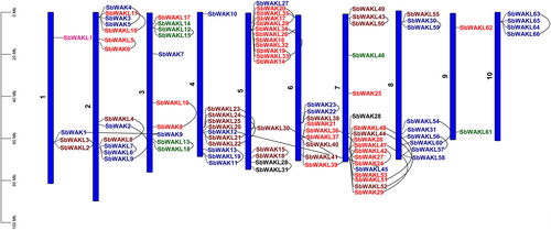Details are in the caption following the image Details are in the caption following the image