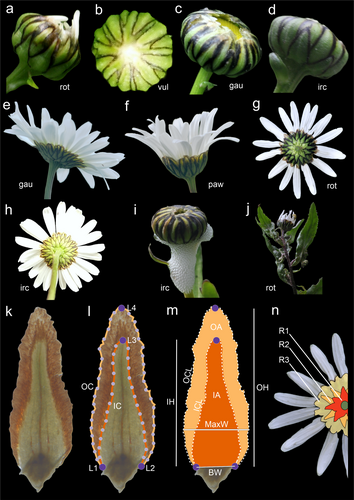Details are in the caption following the image