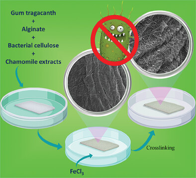 Biocompatible Polysaccharide-Based Wound Dressing Comprising Cellulose Fabric Treated with Gum Tragacanth, Alginate, Bacterial Cellulose, and Chamomile Extracts