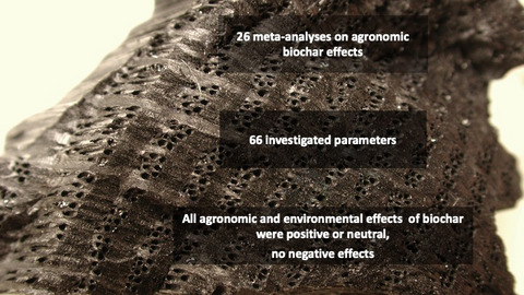 Biochar in agriculture – A systematic review of 26 global meta-analyses