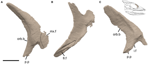 Details are in the caption following the image