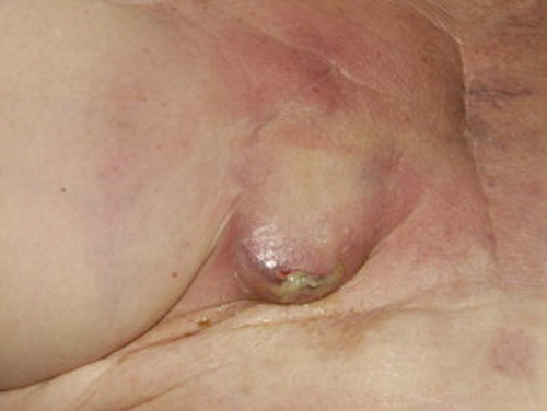 Details are in the caption following the image