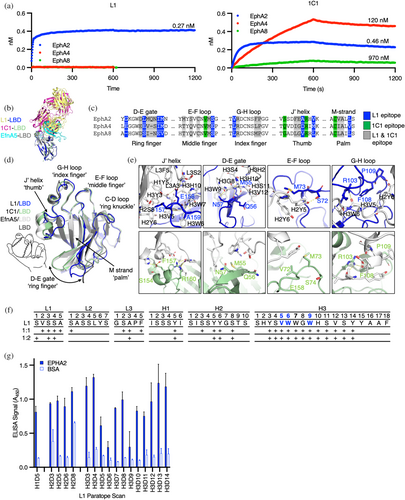 Details are in the caption following the image Details are in the caption following the image