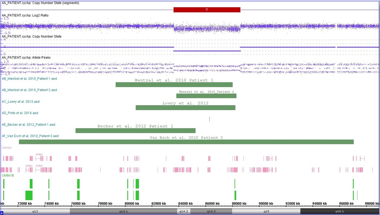 A 6q14.1-q15 microdeletion in a male patient with severe autistic disorder, lack of oral language, and dysmorphic features with concomitant presence of a maternally inherited Xp22.31 copy number gain