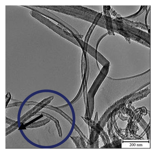 Details are in the caption following the image