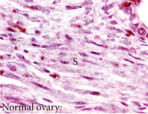 Details are in the caption following the image