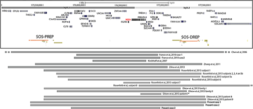 Details are in the caption following the image Details are in the caption following the image