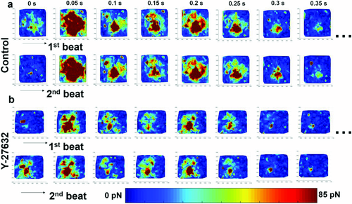 Details are in the caption following the image Details are in the caption following the image