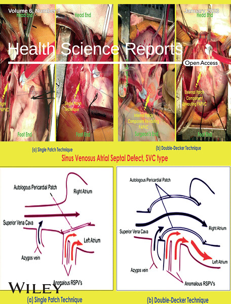 Cover Image, Volume 6, Issue 1 Volume 6 Issue 1, 2023