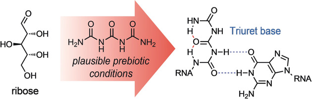 Proto-Urea-RNA (Wöhler RNA) Containing Unusually Stable Urea Nucleosides