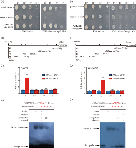 Details are in the caption following the image Details are in the caption following the image
