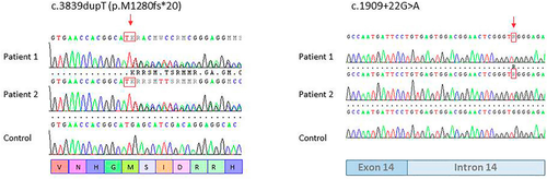 Details are in the caption following the image Details are in the caption following the image