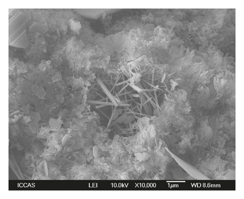 Details are in the caption following the image