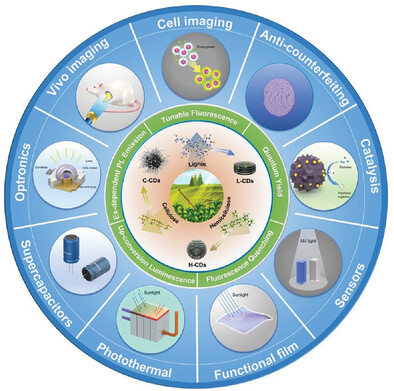 Lignocellulosic Biomass-Based Carbon Dots: Synthesis Processes, Properties, and Applications