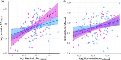 Allometry in the corpus callosum in neonates: Sexual dimorphism