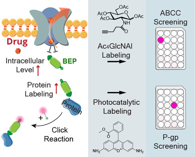 Chemical Recording of Pump-Specific Drug Efflux in Living Cells