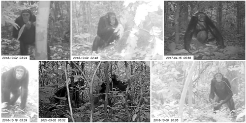 Details are in the caption following the image Details are in the caption following the image