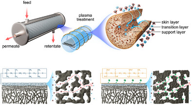 Plasma-Engineered Sub-10 nm Surface Fluorination Enables Ultraselective Hollow Fiber Membranes