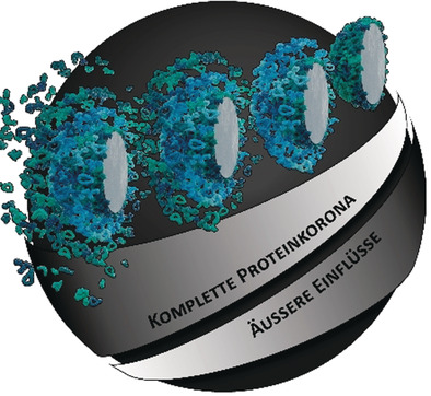 Möglichkeiten und Limitierungen verschiedener Trenntechniken zur Analyse der Proteinkorona