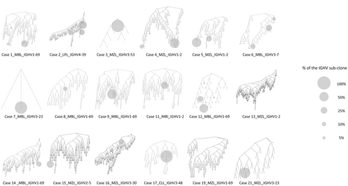 Details are in the caption following the image Details are in the caption following the image