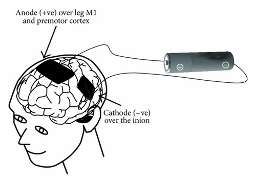 Details are in the caption following the image