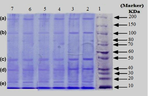 Details are in the caption following the image