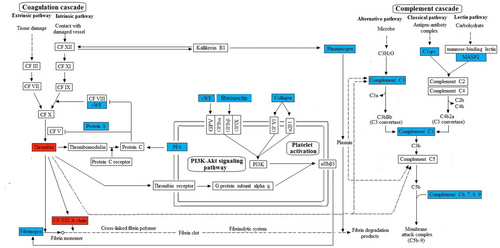Details are in the caption following the image Details are in the caption following the image