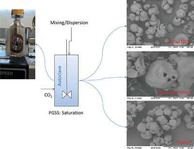 Commercial Starch Behavior When Impregnated with Food Additives by Moderate Temperature Supercritical CO2 Processing