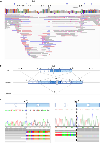 Details are in the caption following the image Details are in the caption following the image
