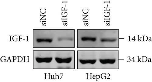 Details are in the caption following the image